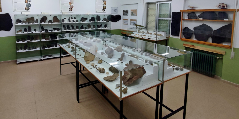 Vitrinas y expositores con fósiles en la sala de fósiles del Aula Geológica Robles de Laciana